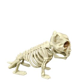 1pc, Plastic Dog Skeleton Decorations Pug Skeleton Model Halloween Supplies Bone Ornaments Animal Model Dog Skeleton Party Ornaments Accessories