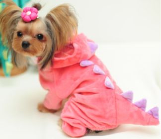 Halloween Dog Clothes Stretch Dinosaur Transformation Costume (Option: Pink-XXL)