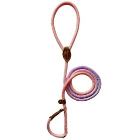 Colorful Durable Bold Nylon Pet Hand Holding Rope (Option: Light Purple Pink-M)